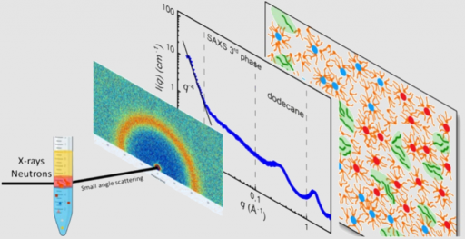 D�codage de la structure de la troisi�me phase lors de l'extraction de l'uranium