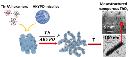 Comment la nature des colloïdes pilote les interactions entre les actinides et des tensioactifs carboxyliques :  synthèse d'oxyde d'actinide nanoporeux mesostructuré par voie sol-gel colloïdale