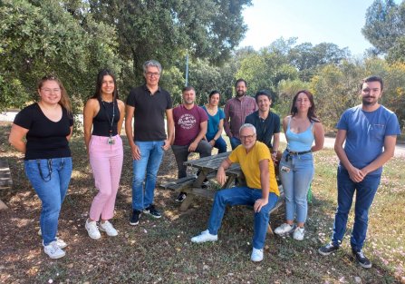 Laboratoire Ions aux Interfaces Actives (L2IA)