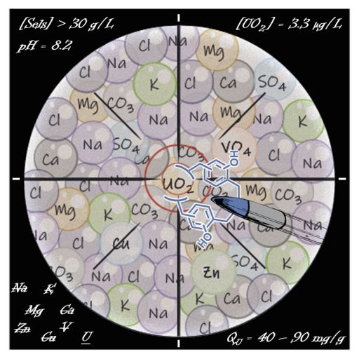 Des rsines phnoliques originales pour une extraction efficace et slective de l'Uranium de l'eau de mer 