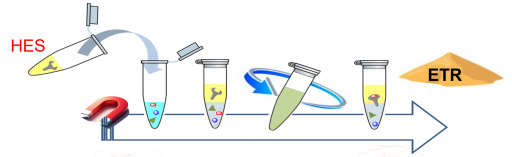 Soutenance de Baptiste BERNICOT