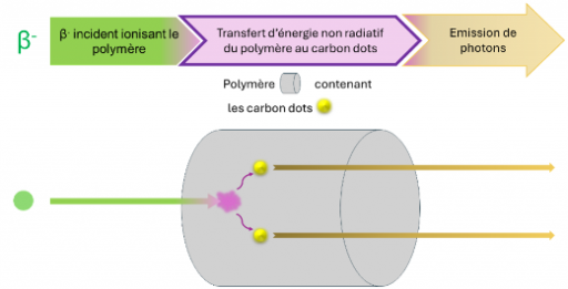 Soutenance de thse de Rayan ROCH