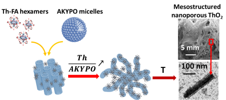 How the nature of colloids drives interactions between actinides and carboxylic surfactants: synthesis of mesostructured nanoporous actinide oxide by colloidal sol-gel route 