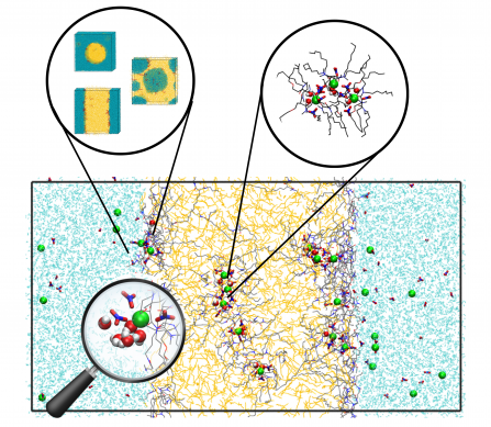 Soutenance de thse de Lara ZIBERNA